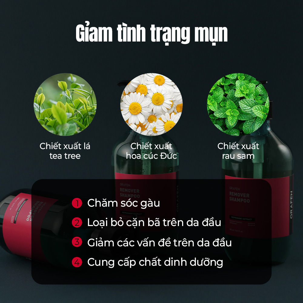Mô tả Dầu Gội Tẩy 500ml [Thành Phần Menthol Tự Nhiên 99%, 20 loại chiết xuất tự nhiên] - 3