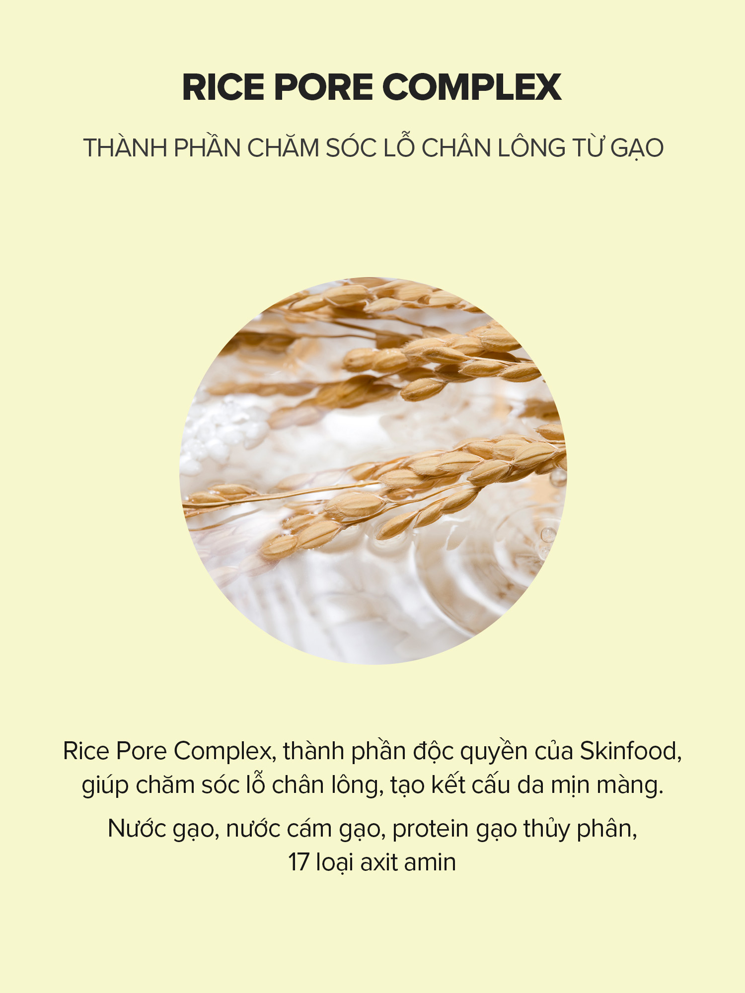 SKINFOOD Rice Brightening Toner Pad 7