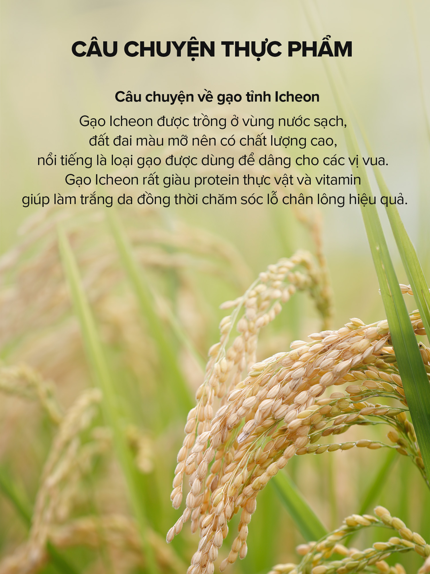 Mô tả Serum sáng da từ gạo (55ml)/ Se khít lỗ chân lông/ Làm sáng / Rice Brightening Serum - 9