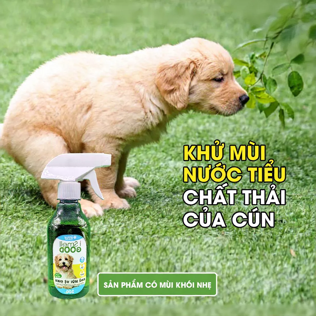 Xịt khử mùi I smell good an toàn cho chó mèo
