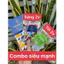 Body vip x3 hồng 2 món