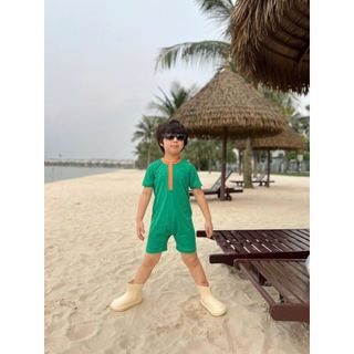 DB00034 - Bộ bơi Harifa liền thân cổ trụ nhiều màu cho bé trai size 1-6y