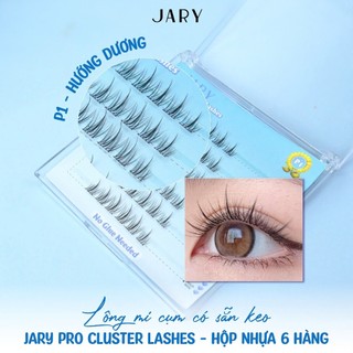 Lông Mi Giả Gắn Sẵn Keo Jary Pro Cluster Lashes - Hộp Nhựa 6 Hàng Tiện Lợi Dễ Dùng