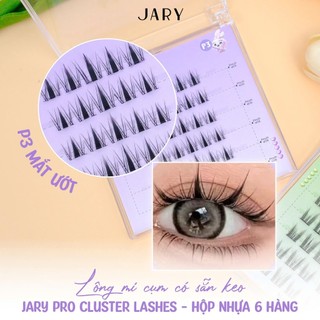 Lông Mi Giả Gắn Sẵn Keo Jary Pro Cluster Lashes - Hộp Nhựa 6 Hàng Tiện Lợi Dễ Dùng