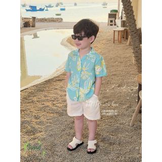 VJ 115 - Bộ đũi June 2 màu Bé Trai size 1 - 10y