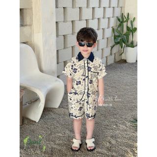 VJ 115 - Bộ đũi June 2 màu Bé Trai size 1 - 10y