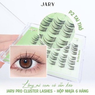 Lông Mi Giả Gắn Sẵn Keo Jary Pro Cluster Lashes - Hộp Nhựa 6 Hàng Tiện Lợi Dễ Dùng