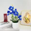 5 Cây trồng trong chậu hoa phong lan hình bướm để trang trí phòng cưới tại nhà❀