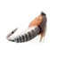 Thực Tế Nymph Scud Bay Cho Cá Hồi Câu Cá Côn Trùng Nhân Tạo Mồi Dụ Scud Worm