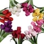 9 Đầu Hoa Nhân Tạo Hoa Tulip Giả Cây Nhựa Cho Đám Cưới Trang Trí Nhà