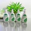 Dung Dịch Vệ Sinh Phụ Nữ Trầu Không Lô Hội Nano Bạc 150ML - Thơm Sạch, ngừa viêm nhiễm, nấm ngứa...