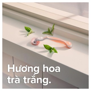 Dao Cạo Nữ Gillette Venus Comfortglide White Tea - Hộp 1 Cán 2 Lưỡi Dao Cạo Chính Hãng - Bebeau