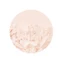 Bộ cố định khối bột Hàn Quốc 8g - Sebum Control, Matte Finish, Neutral Beige