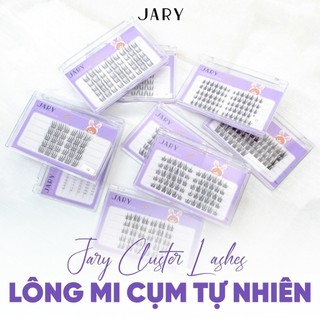 Lông Mi Cụm Tự Nhiên Jary Cluster Lashes - Hộp Nhựa 5 Hàng Chính Hãng - Bebeau