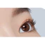 Mascara Fixer Hàn Quốc Dr.Mascara Top Coat 6g (2 Gói) - Chống nhòe, Lâu trôi