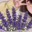Túi Tote Vải Canvas Chibi Love You Cô Gái Hoa Oải Hương Có Khóa Túi Phụ Dễ Thương 3 Màu a-totak0229