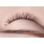 Mascara Hàn Quốc No Retouch Lash Correcting 9.5g - Lâu trôi, Chống nhòe
