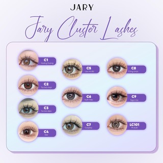 Lông Mi Cụm Tự Nhiên Jary Cluster Lashes - Hộp Nhựa 5 Hàng Chính Hãng - Bebeau