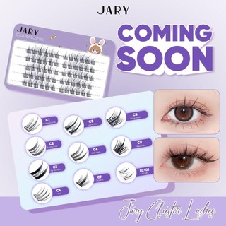 Lông Mi Cụm Tự Nhiên Jary Cluster Lashes - Hộp Nhựa 5 Hàng Chính Hãng - Bebeau