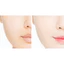 Korean Powder Pact Pro Touch 10g No.23 - Sebum Control, Matte Finish