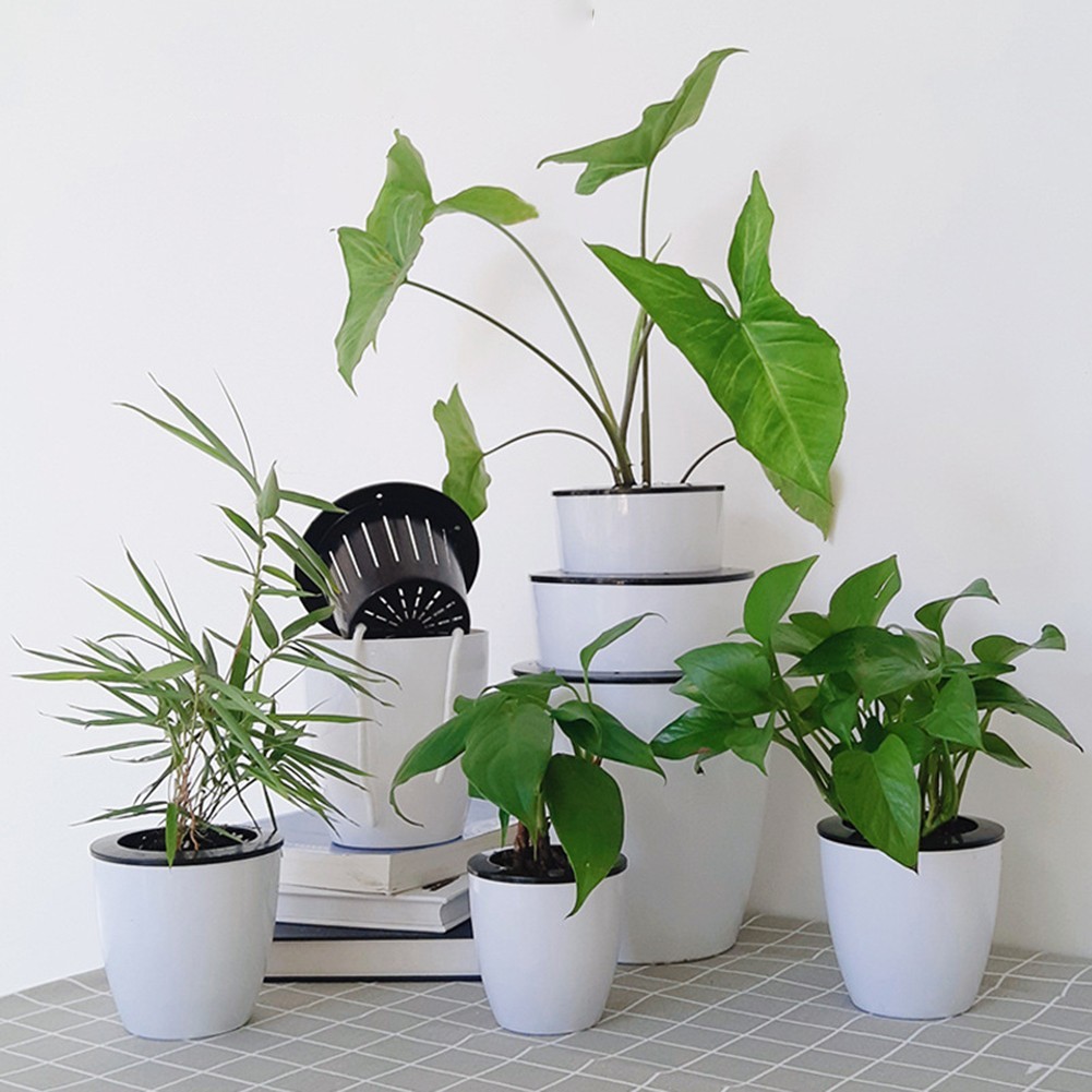 < cosyh > Chậu hoa bằng nhựa tròn tự tưới cây tự động Trang trí sân vườn Văn phòng tại nhà