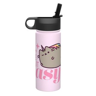 Bình nước cách nhiệt dung tích lớn Pusheen có ống hút18OZ, bình nước thể thao 500ML, du lịch, thép không gỉ