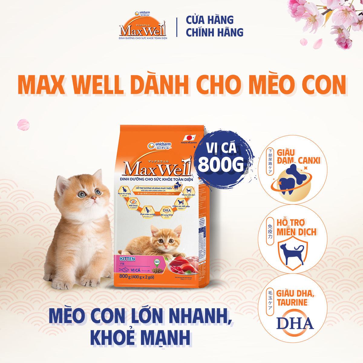 Thức ăn hạt cao cấp cho mèo Max Well từ Nhật Bản, dành cho mèo con, chăm sóc sức khỏe toàn diện - Vị cá, 800g