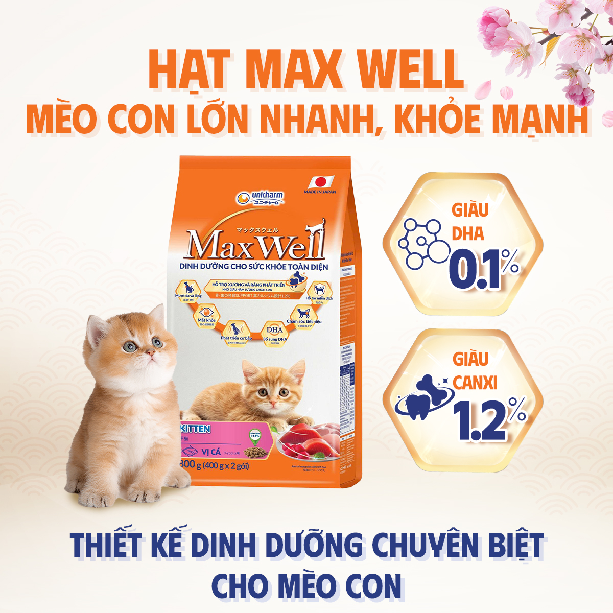 Thức ăn hạt cao cấp cho mèo Max Well từ Nhật Bản, dành cho mèo con, chăm sóc sức khỏe toàn diện - Vị cá, 800g