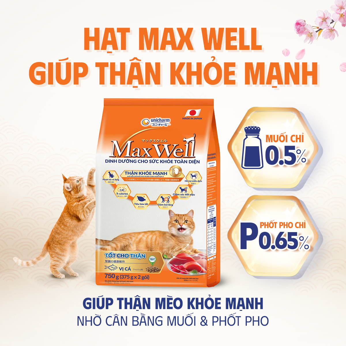 Thức ăn hạt cao cấp cho mèo khỏe toàn diện, tốt cho thận Max Well từ Nhật Bản -Vị gà/cá 1.5kg