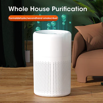 Mini New Air Purifier HEPA
