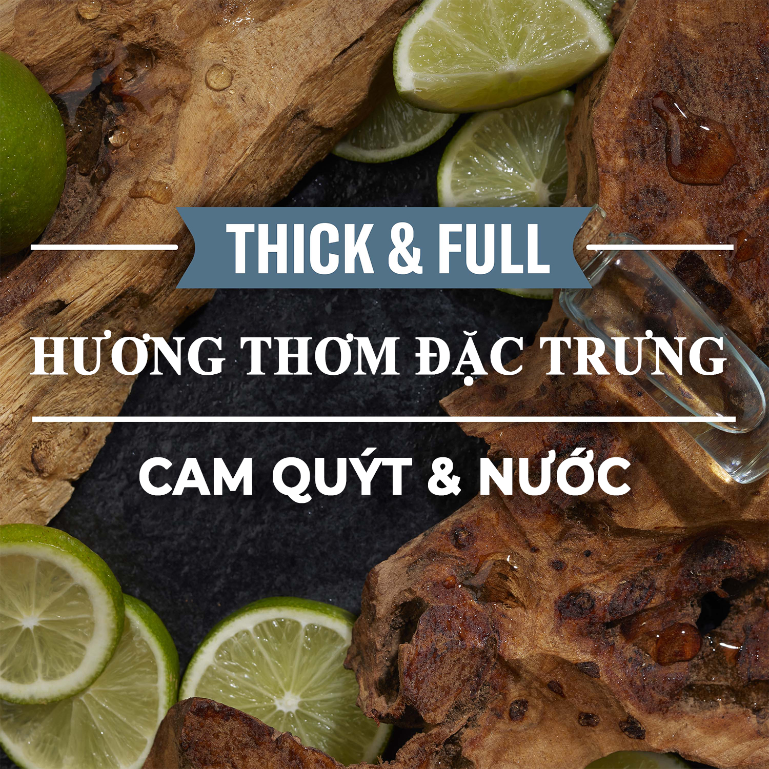Dầu Gội Xả 2in1 OLD SPICE 650ml tiện lợi, sạch sâu, dưỡng tóc nam dày khỏe, giảm khô xơ, phồng hơn +80% - Mỹ | BigBuy360 - bigbuy360.vn