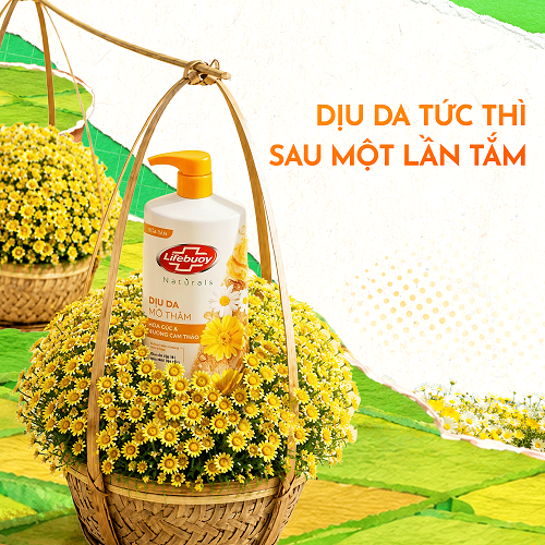 [PHIÊN BẢN GIỚI HẠN 20/10] Sữa Tắm Lifebuoy Hoa Cúc & Cà Phê 800G | BigBuy360 - bigbuy360.vn