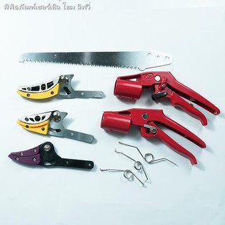 Cao Nhánh Kéo Cắt Trái Cây Kéo Cao Cấp Kéo Cây Trái Cây Kéo Phụ Kiện Tay Cầm Lò Xo Tay Cầm Đầu Lưỡi Cưa