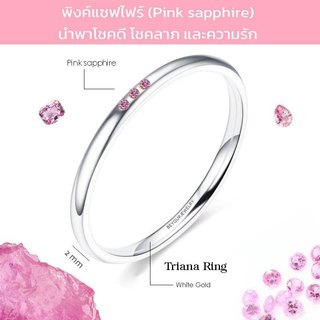 Nhẫn Triana sapphire hồng (sapphire hồng) 3 Nhẫn đá quý Chiều rộng dễ thương và tối giản 2 Mm. Cạnh tròn