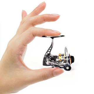 Đáy câu cá mini thép không gỉ với bánh xe quay - Dành cho người yêu câu