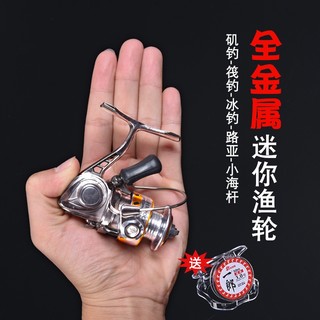 Đáy câu cá mini thép không gỉ với bánh xe quay - Dành cho người yêu câu