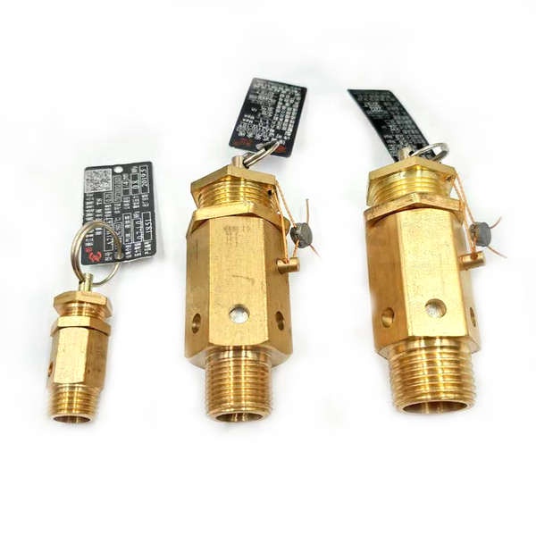 Van Nén Khí An Toàn A21W / X-16T4 Điểm 6 Điểm