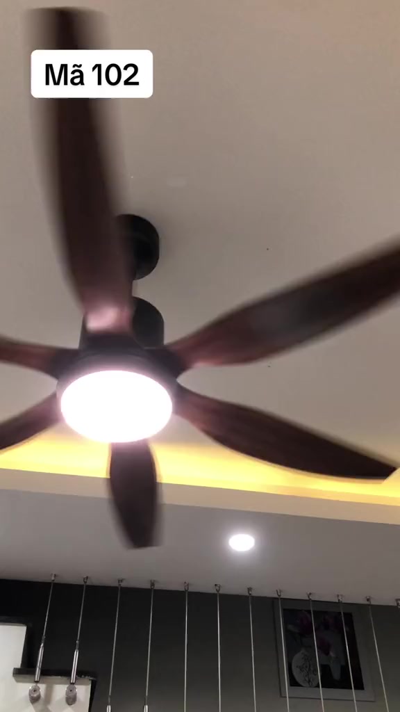 Video sản phẩm 1