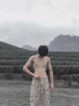 yvzehuongthai775