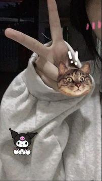 nhuthikimphungoqkr