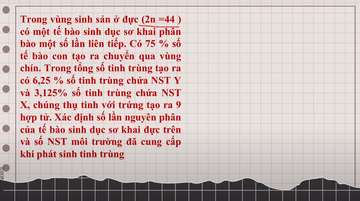 duong_1304_am_b