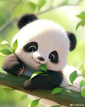 maiquynh8886