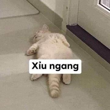 thuantran05012000