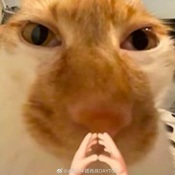 emgaixiaozhan