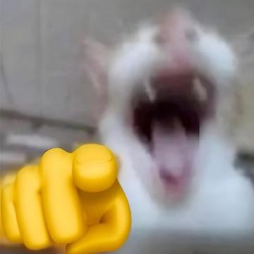antossuky