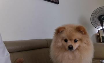 minhminhchau19