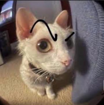 trinhteiii