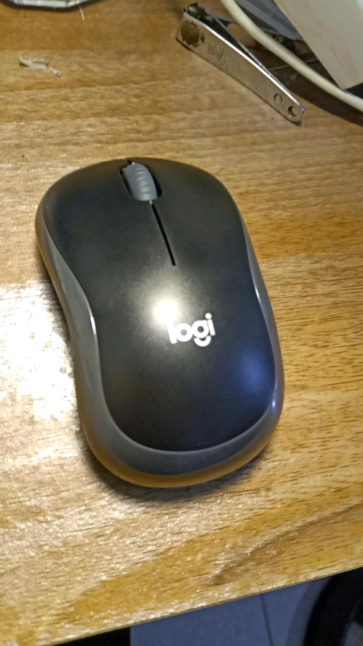 Đầu thu nano Logitech B175