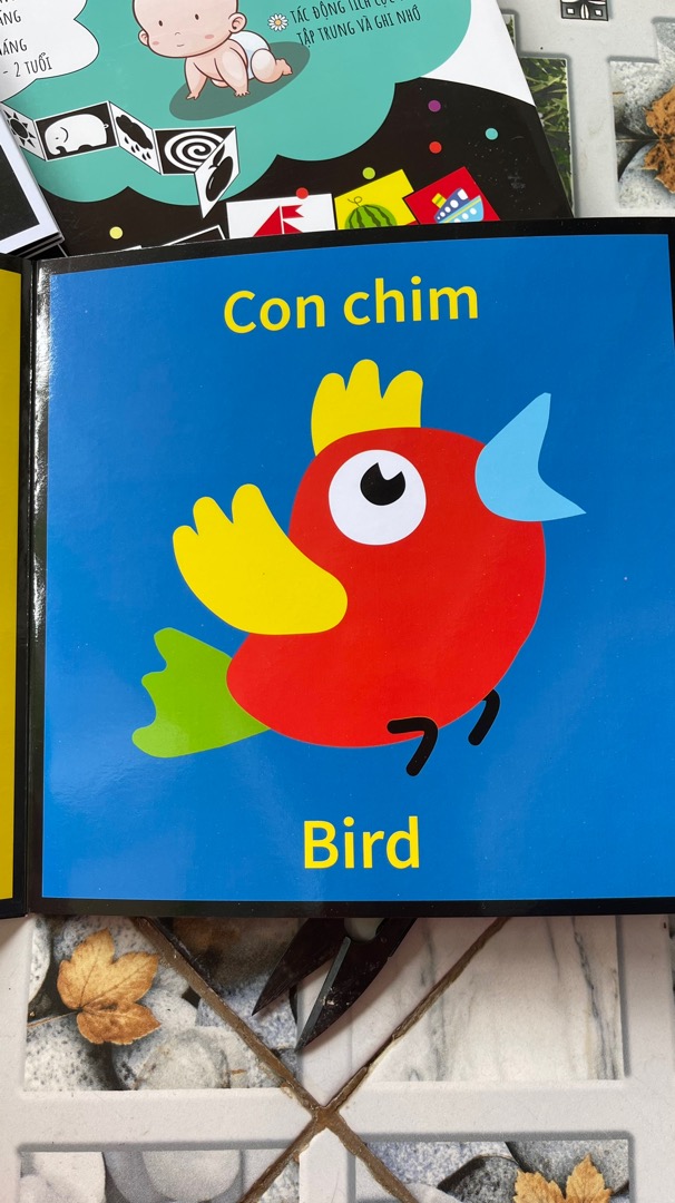 Ảnh đánh giá