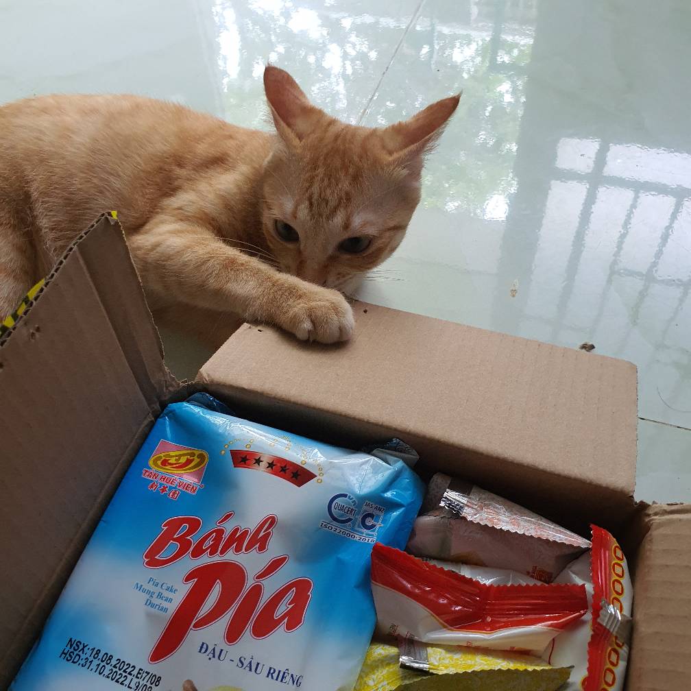Ảnh đánh giá